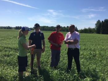 Sustainable intensification in upland grazing production systems