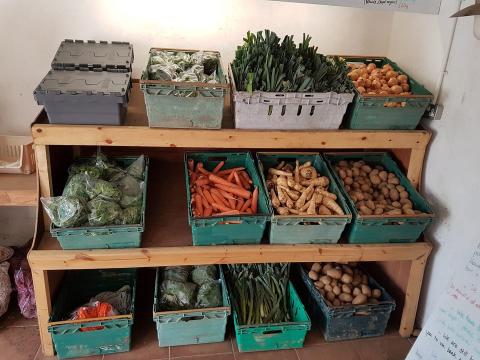 Organic vegetable farm