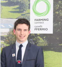 carwyn rees 1 250x271