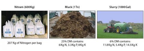 Nitram - Muck - Slurry
