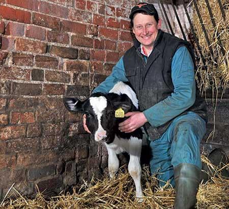 A farmer next to a cow