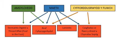 cloffni tech article 1