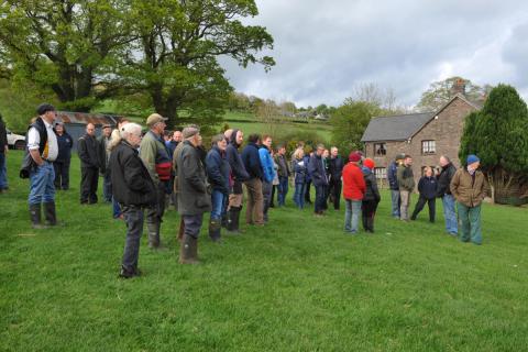 farmers at managing the growing lamb 2 1
