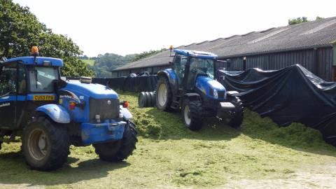 fc additives dave davies