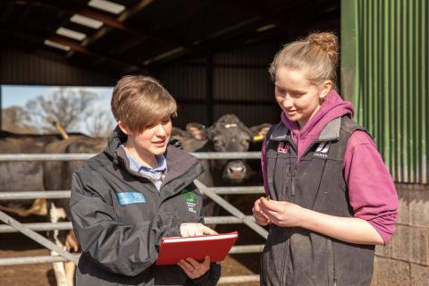 gwenno puw and heidi curtis