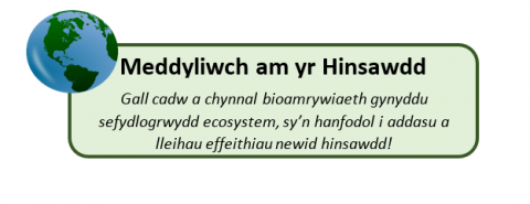 hinsawdd 0