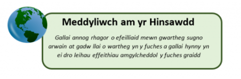 hinsawdd logo