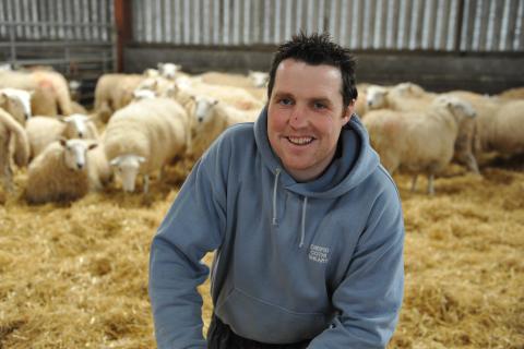 irwel jones with sheep 3