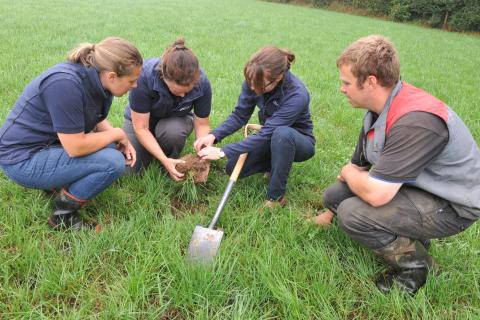 jamie mccoy elizabeth stockdale ellie sweetman and andrew rees assessing root structure 1