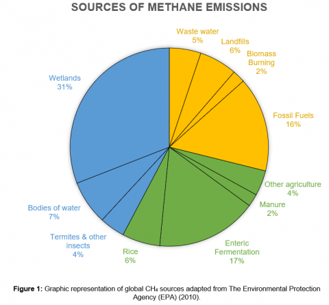 methane