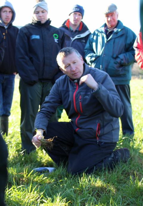 noel gowan grasstec group