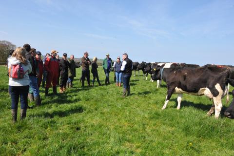open day at moor farm 0