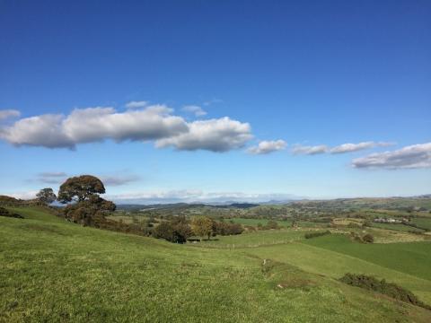 pasture project 26.10.18