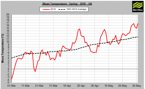 pasture project llun 1