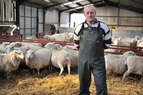 paul williams. cae haidd ucha