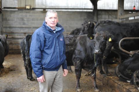 philip jones with cows 1