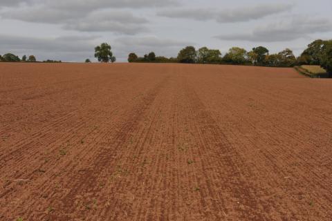 ploughed field