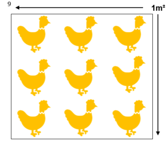 poultry