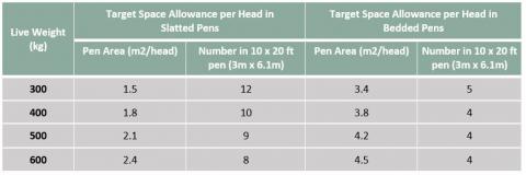 tech article lameness in beef cattle 1