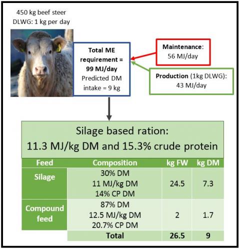 tech article winter feed budget eng
