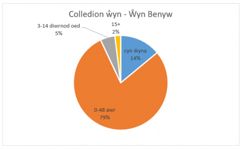wyn benyw 1