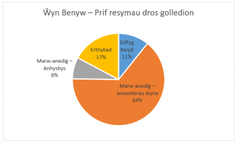 wyn benyw 2
