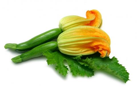 courgette flowers