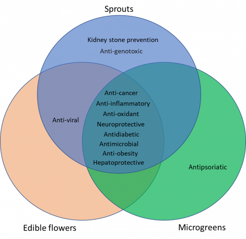 Nutritional and health benefits