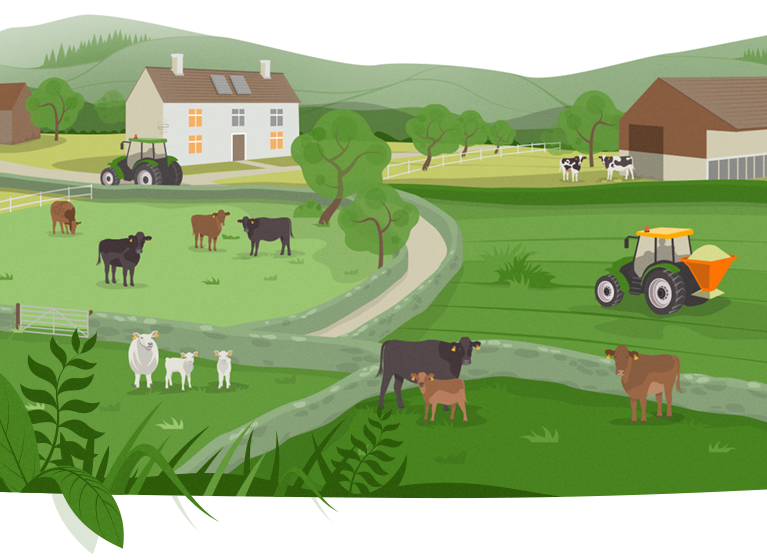 Farm illustration