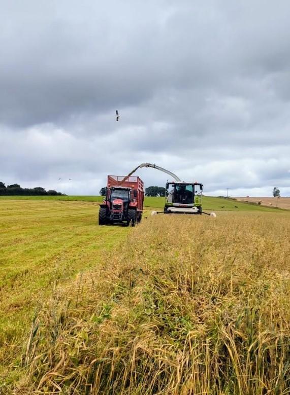 NIR Analysis of the wholecrop and grass silages.