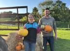 Pumpkin growers trial sunflowers to extend PYO season