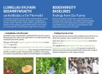 Llinellau Sylfaen Bioamrywiaeth - Biodiversity Baselines