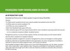 Managing Farm Woodlands In Wales