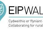 EIP Wales
