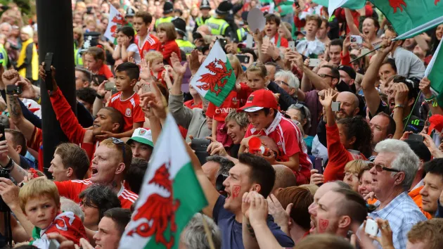 Welsh football team supporters