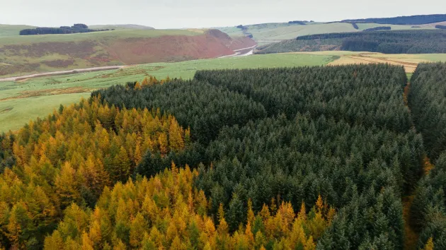 Glyndŵr's Way, Staylittle, Mid Wales