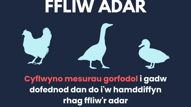 Fliw Adar
