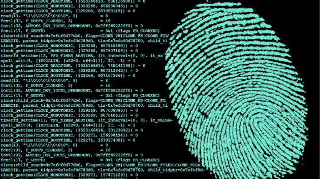 Digital fingerprint on the computer