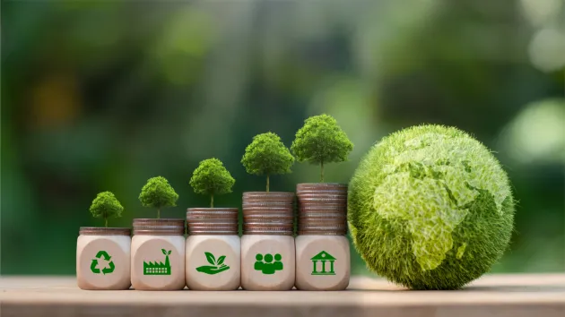 Net Zero concept