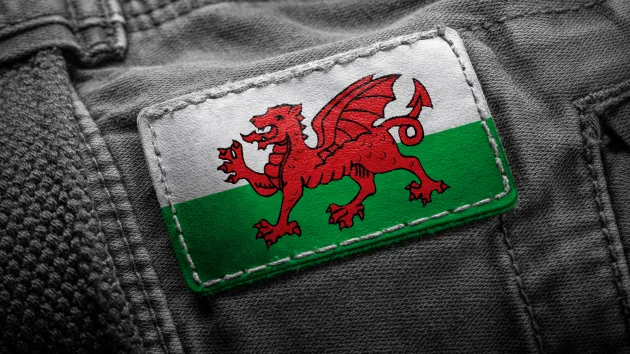 Item of clothing with Welsh flag label