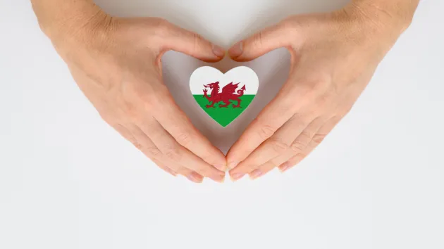 hands making the shape of a heart 