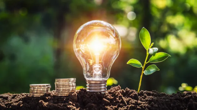 coins, lightbulb 