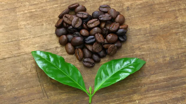 Coffee beans in the shape of a heart