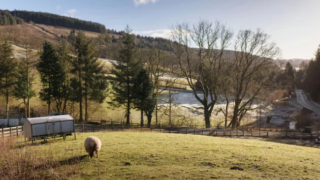 Farming fields and trees
