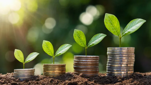 Piles of coins and plant shoots - business growth and investment