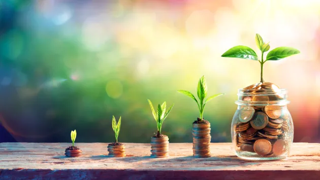 stacks of coins with plant shoots