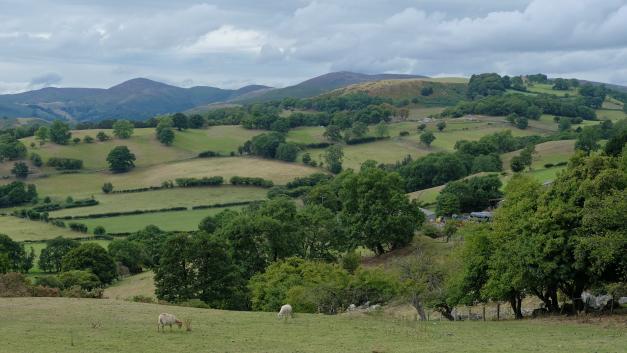 Countryside, wales