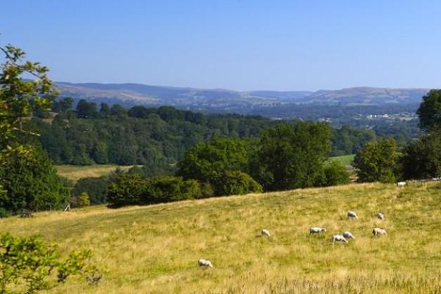 Countryside