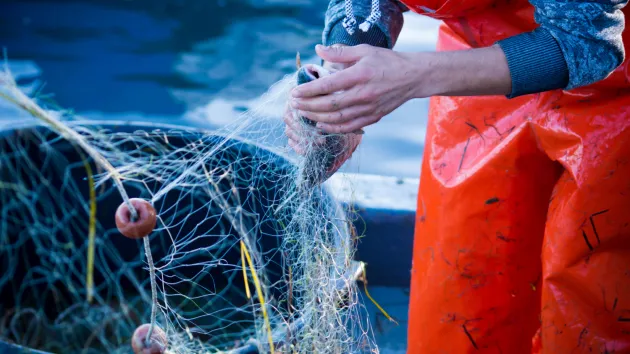 commercial fishing 