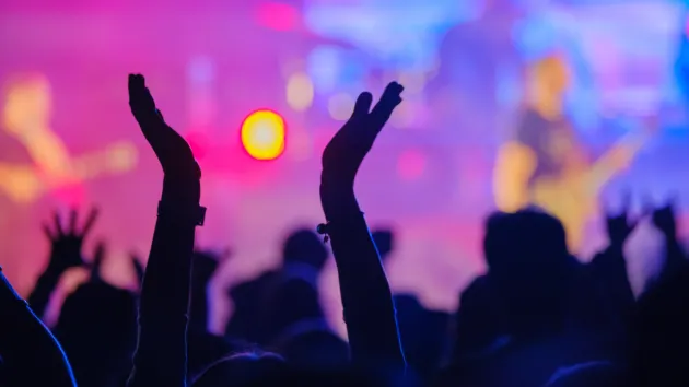 Musicians performing at a concert 